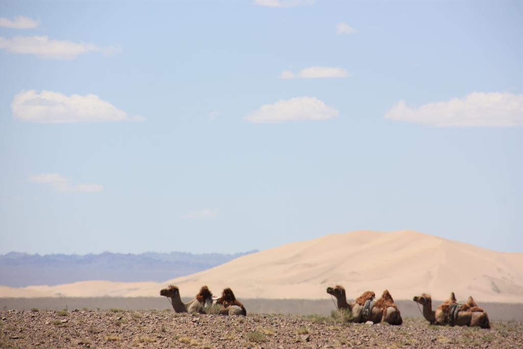 אולן בטור Golden Gobi Hostel & Tours מראה חיצוני תמונה
