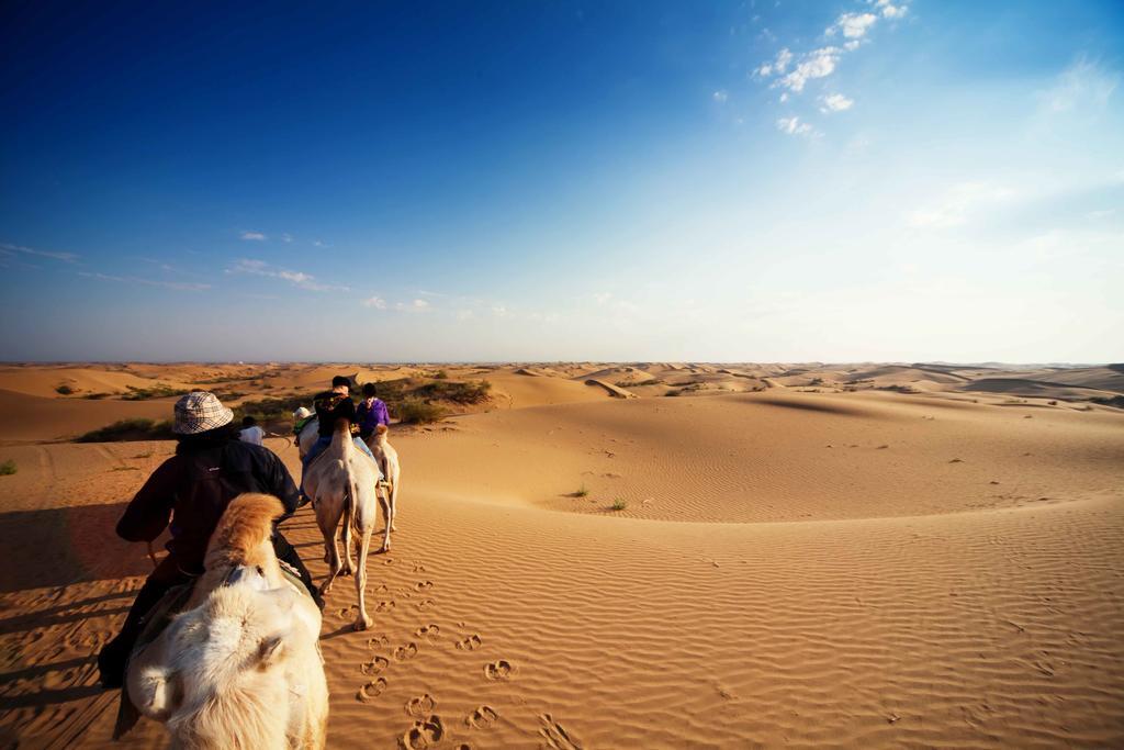 אולן בטור Golden Gobi Hostel & Tours מראה חיצוני תמונה