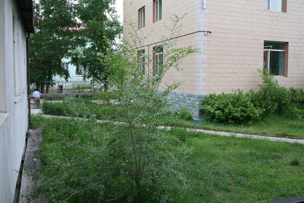אולן בטור Golden Gobi Hostel & Tours מראה חיצוני תמונה